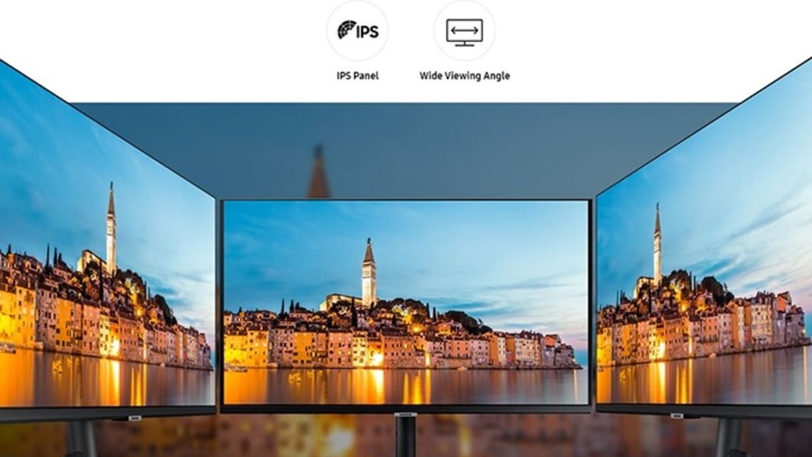 Wide Viewing Angle with IPS Panel ​